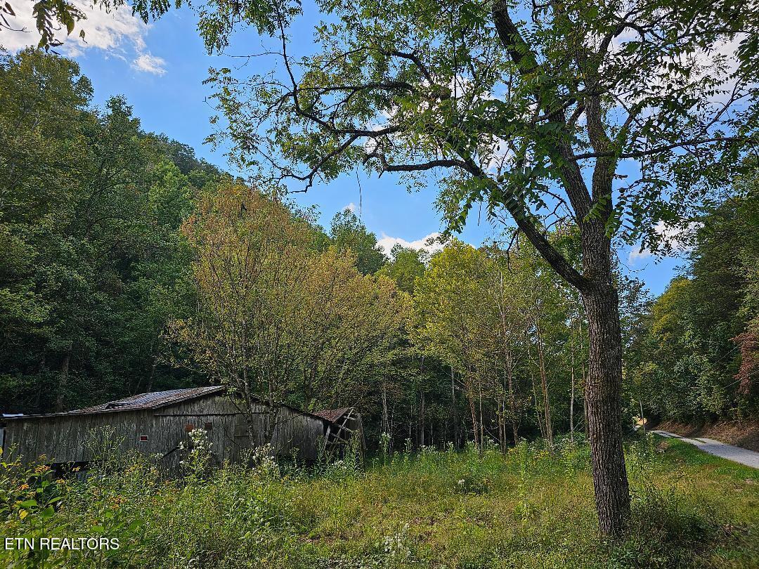 73.87AC Mill Hollow Road Tazewell TN 37879
