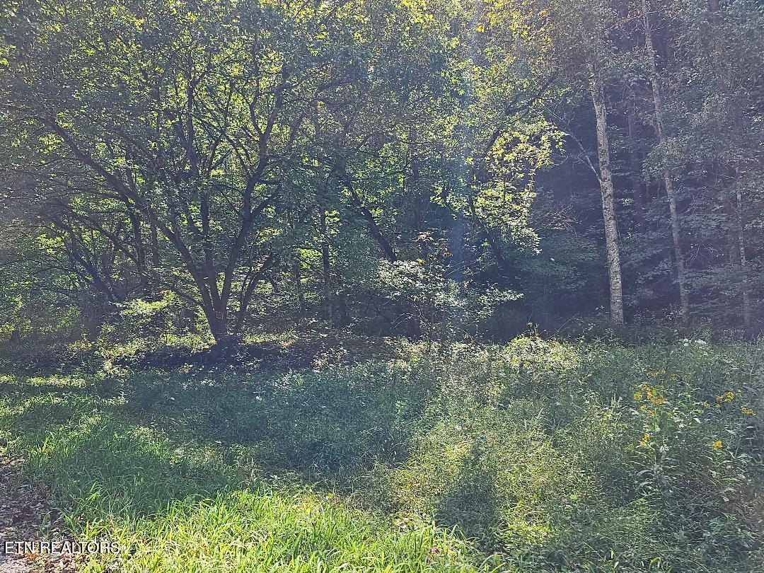 73.87AC Mill Hollow Road Tazewell TN 37879