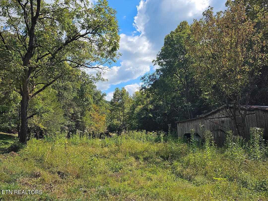 73.87AC Mill Hollow Road Tazewell TN 37879