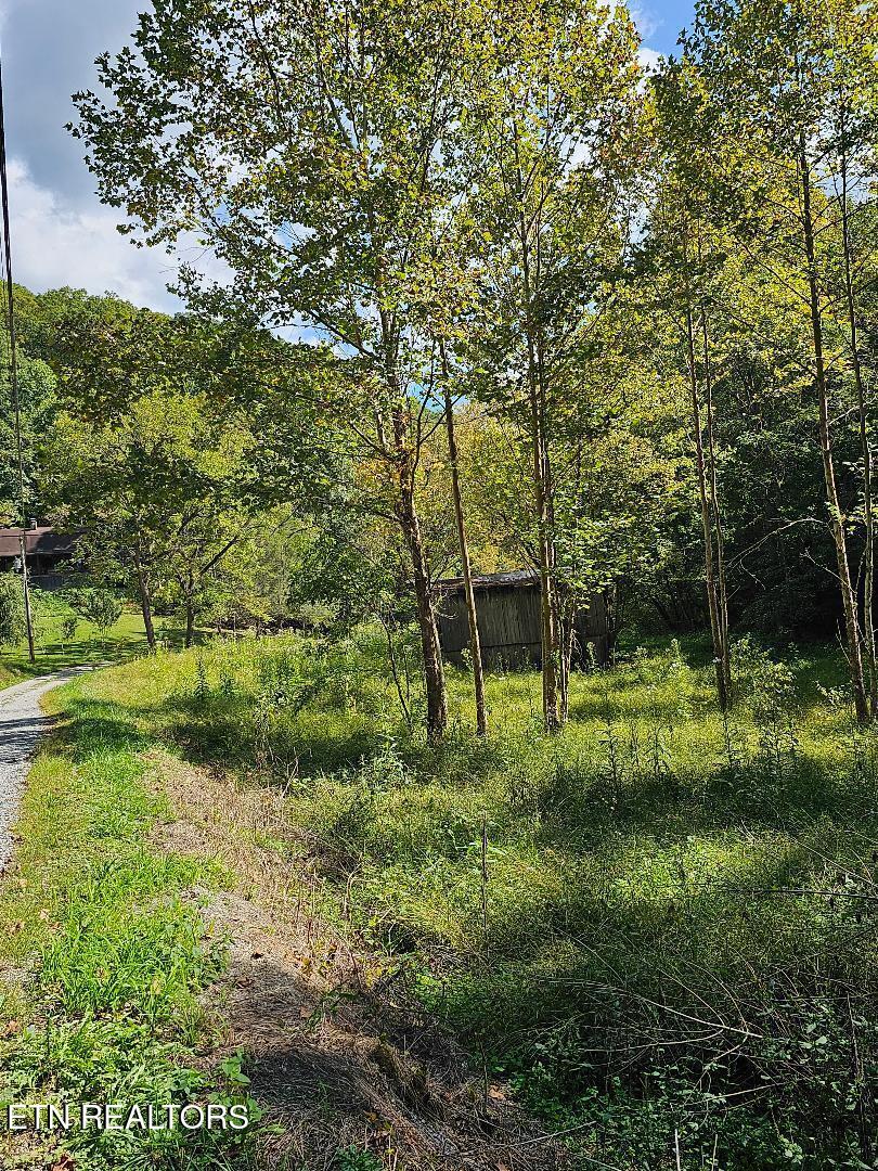 73.87AC Mill Hollow Road Tazewell TN 37879