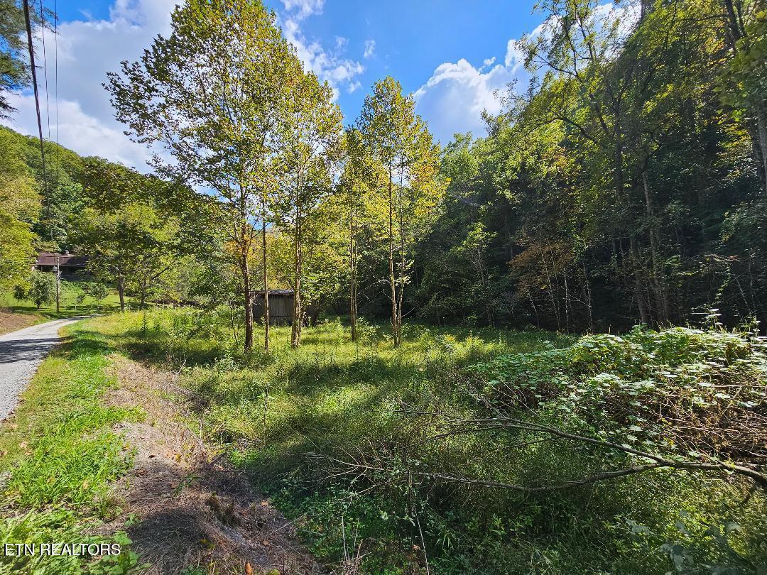 73.87AC Mill Hollow Road Tazewell TN 37879