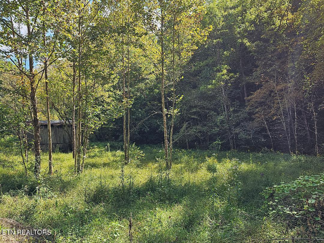 73.87AC Mill Hollow Road Tazewell TN 37879