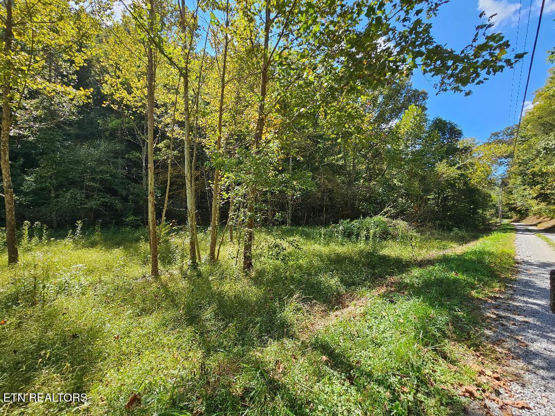 73.87AC Mill Hollow Road Tazewell TN 37879