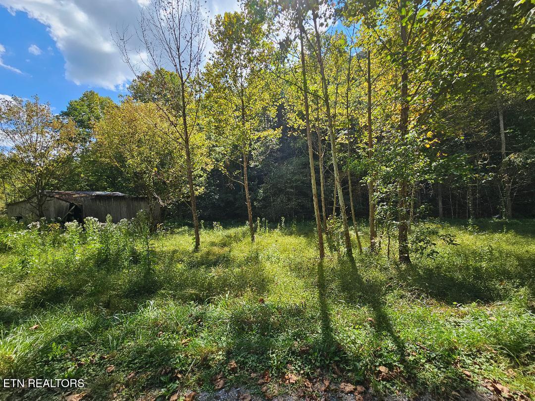 73.87AC Mill Hollow Road Tazewell TN 37879