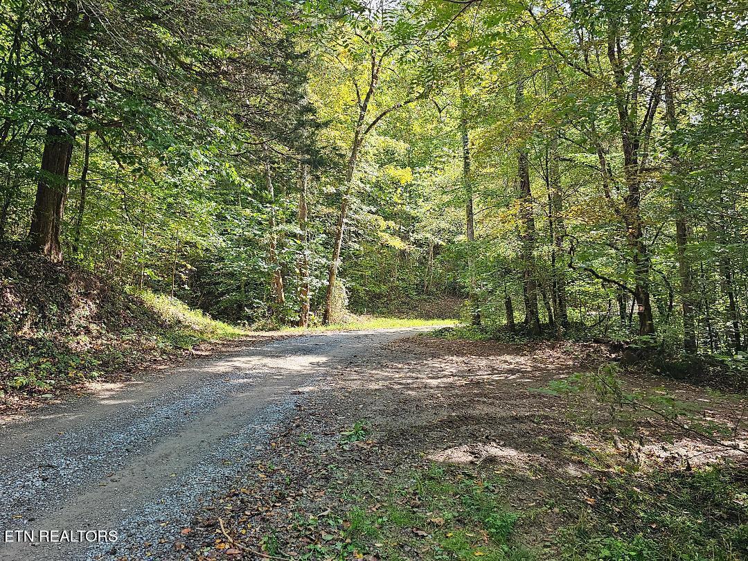 73.87AC Mill Hollow Road Tazewell TN 37879
