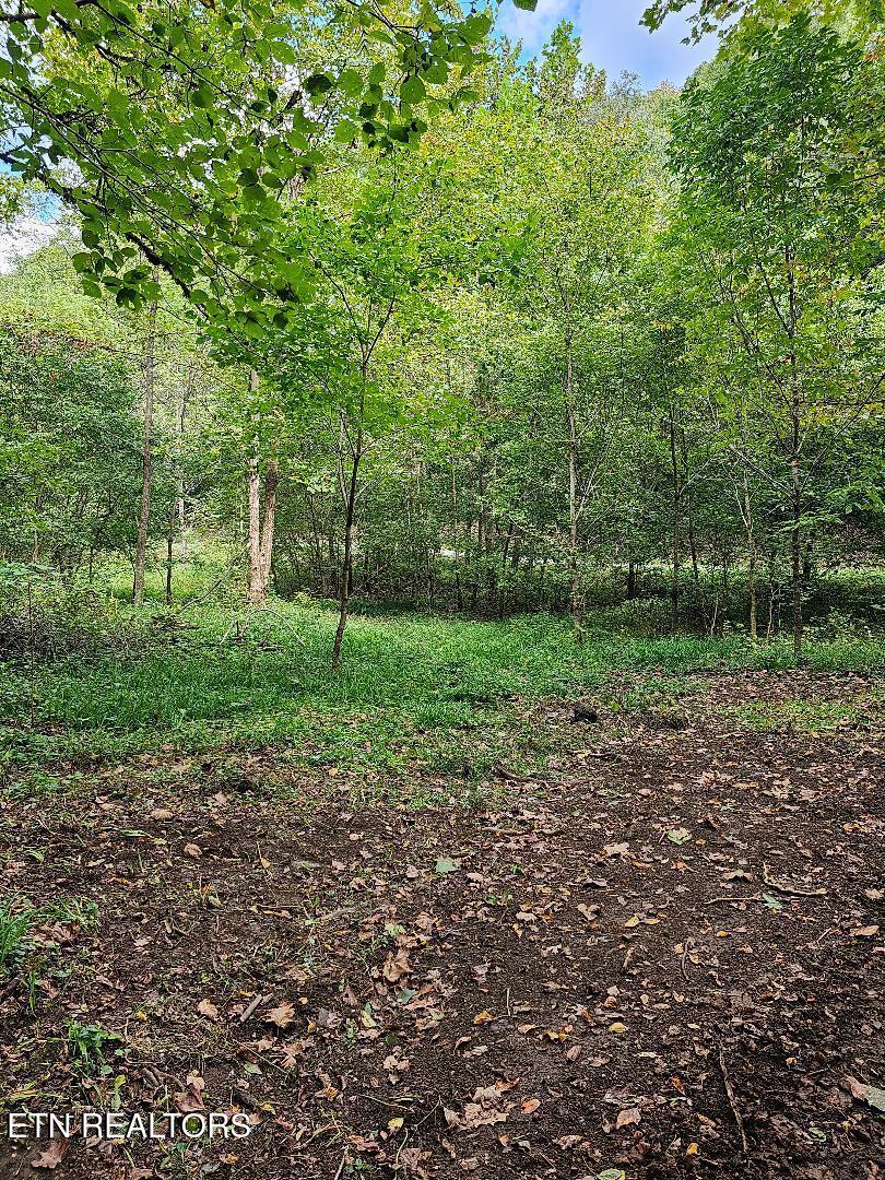 73.87AC Mill Hollow Road Tazewell TN 37879