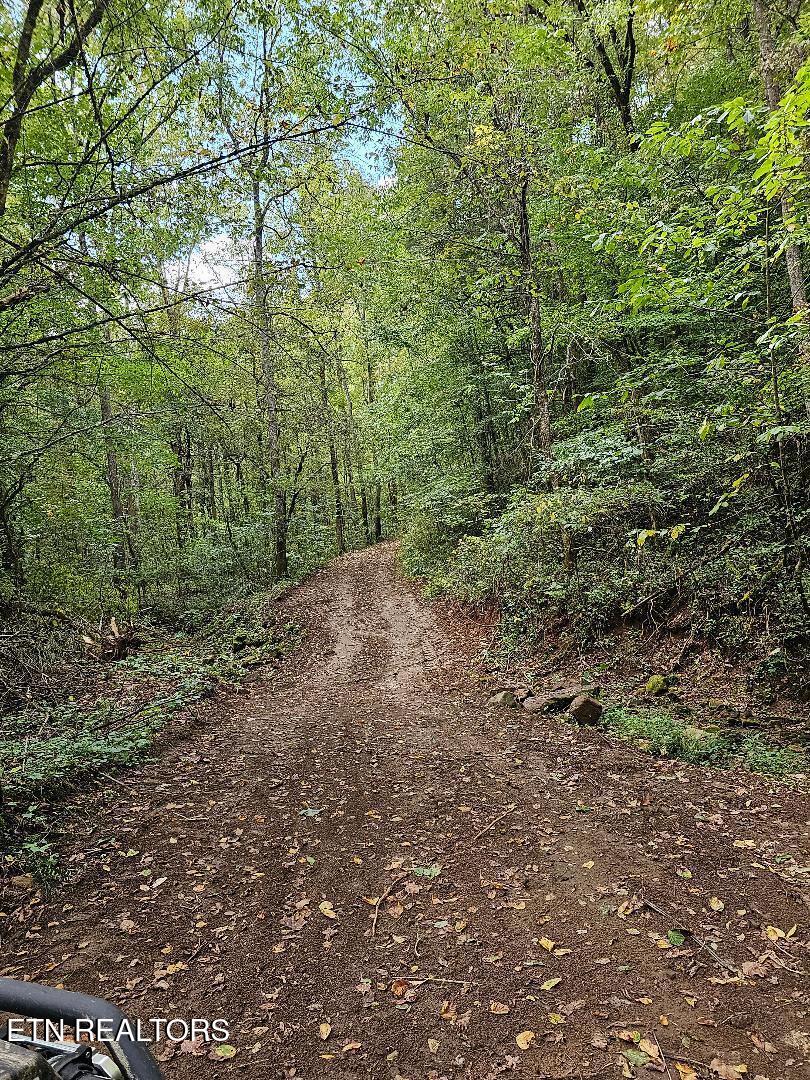 73.87AC Mill Hollow Road Tazewell TN 37879