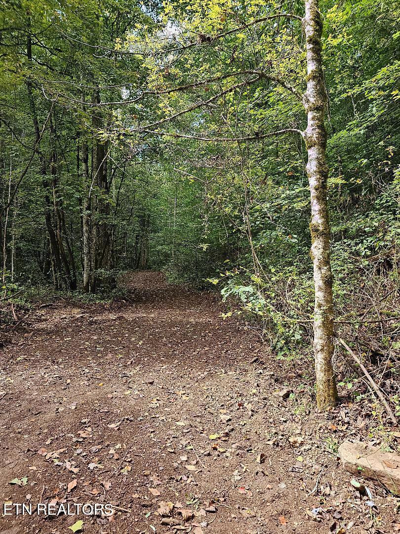 73.87AC Mill Hollow Road Tazewell TN 37879
