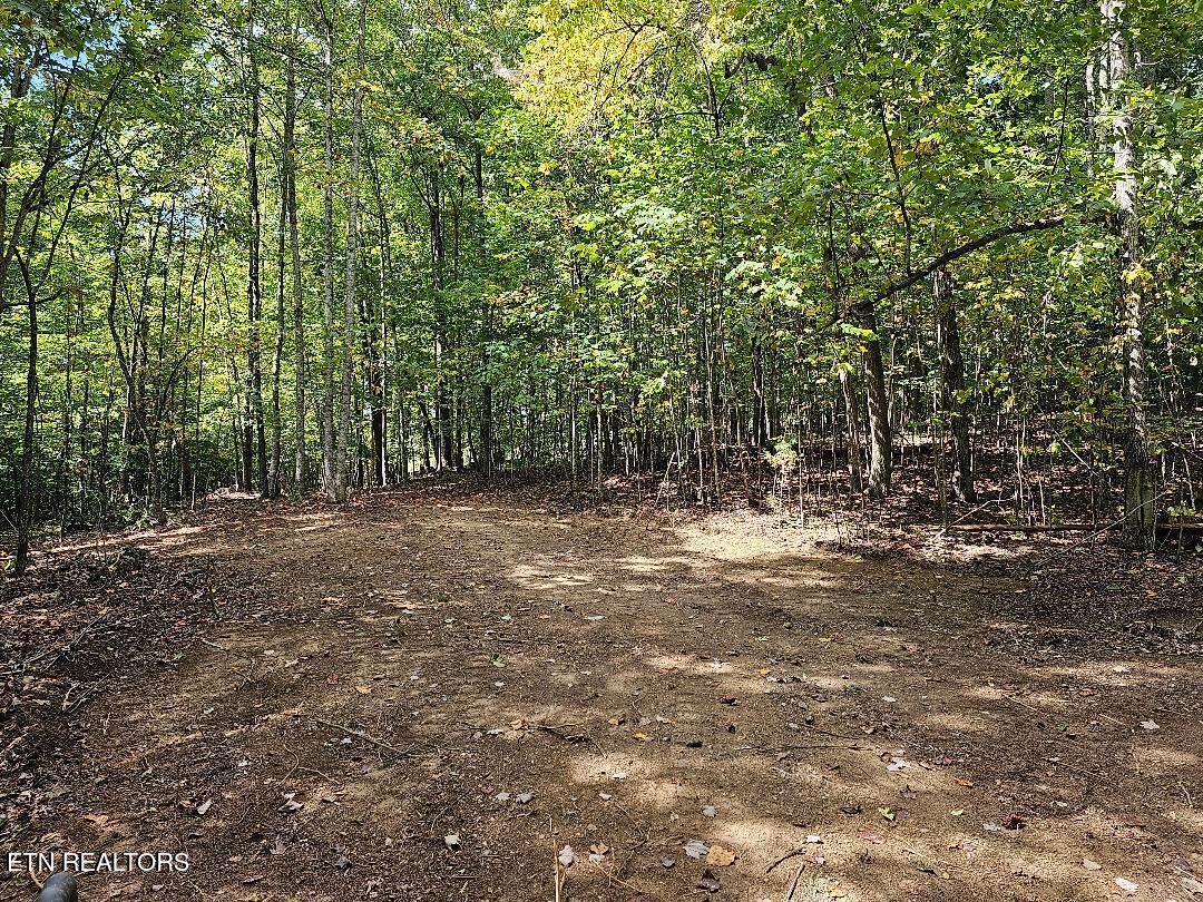 73.87AC Mill Hollow Road Tazewell TN 37879
