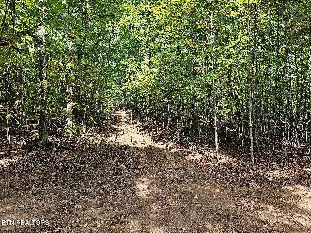 73.87AC Mill Hollow Road Tazewell TN 37879