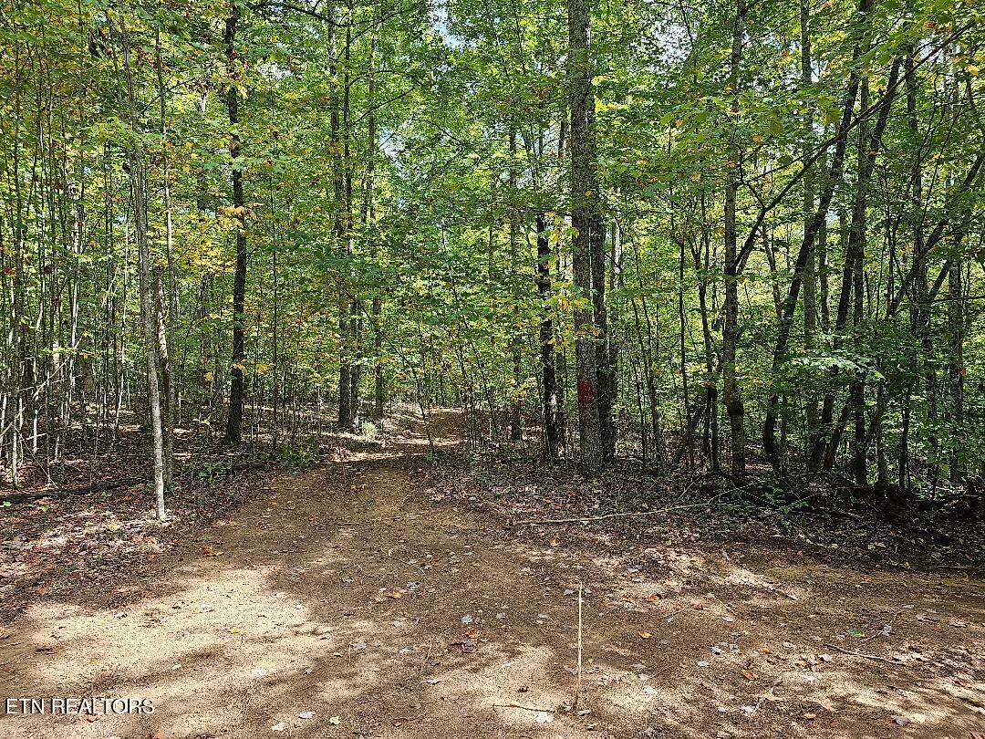 73.87AC Mill Hollow Road Tazewell TN 37879