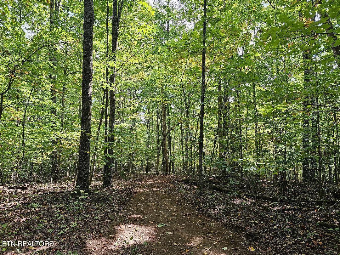 73.87AC Mill Hollow Road Tazewell TN 37879