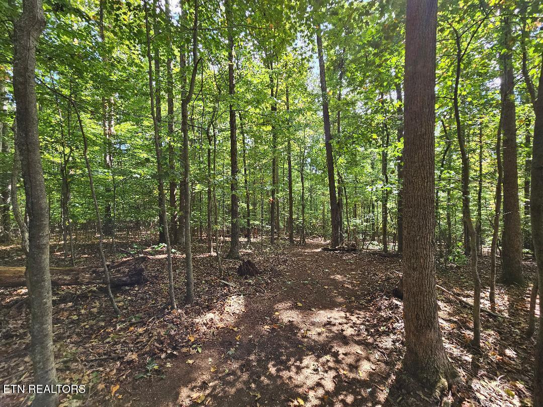 73.87AC Mill Hollow Road Tazewell TN 37879