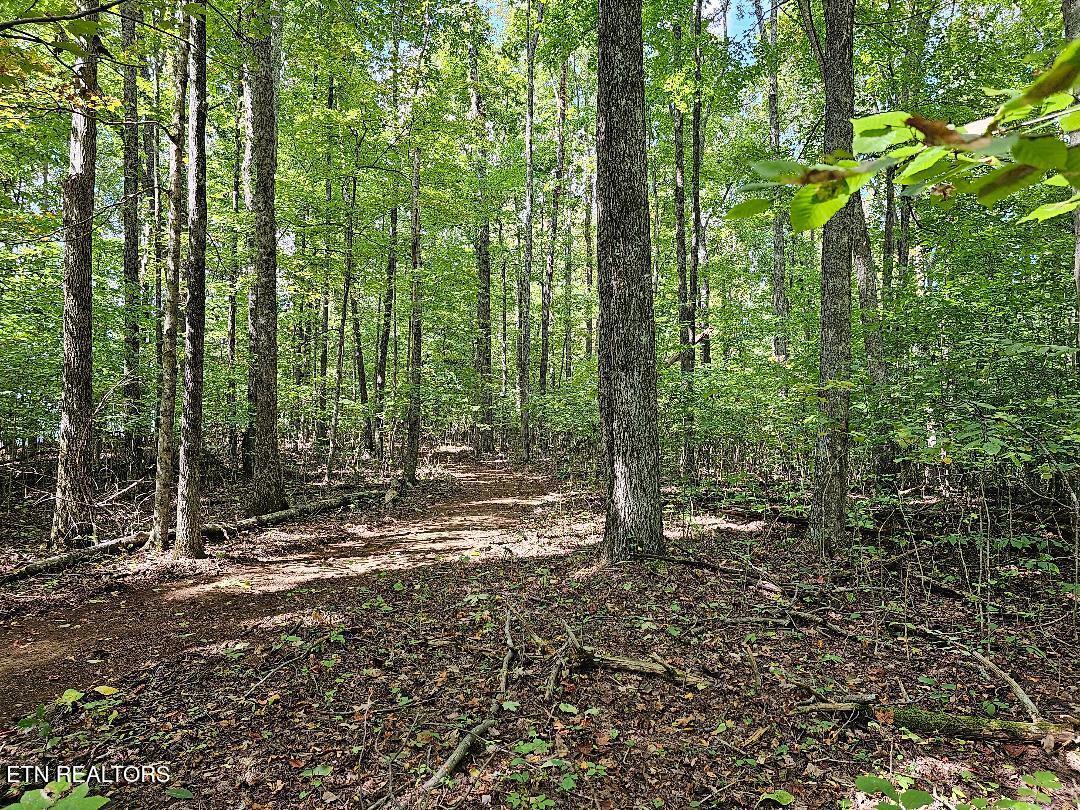 73.87AC Mill Hollow Road Tazewell TN 37879