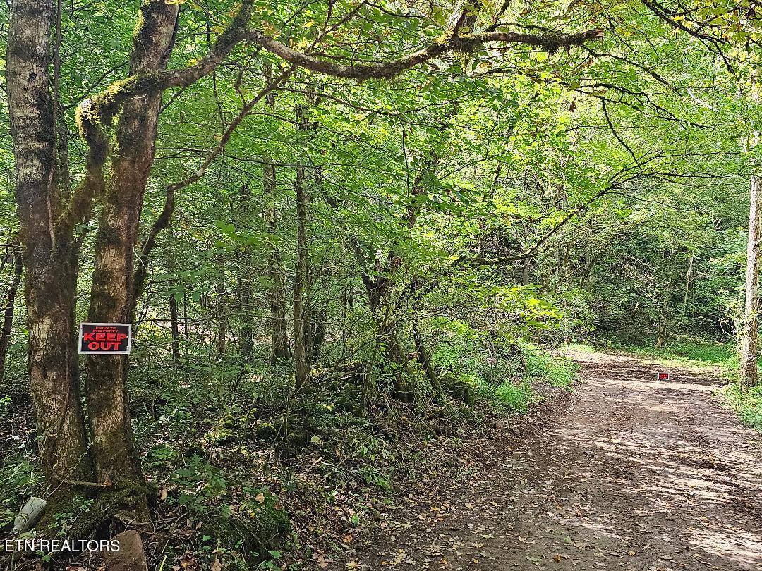 73.87AC Mill Hollow Road Tazewell TN 37879