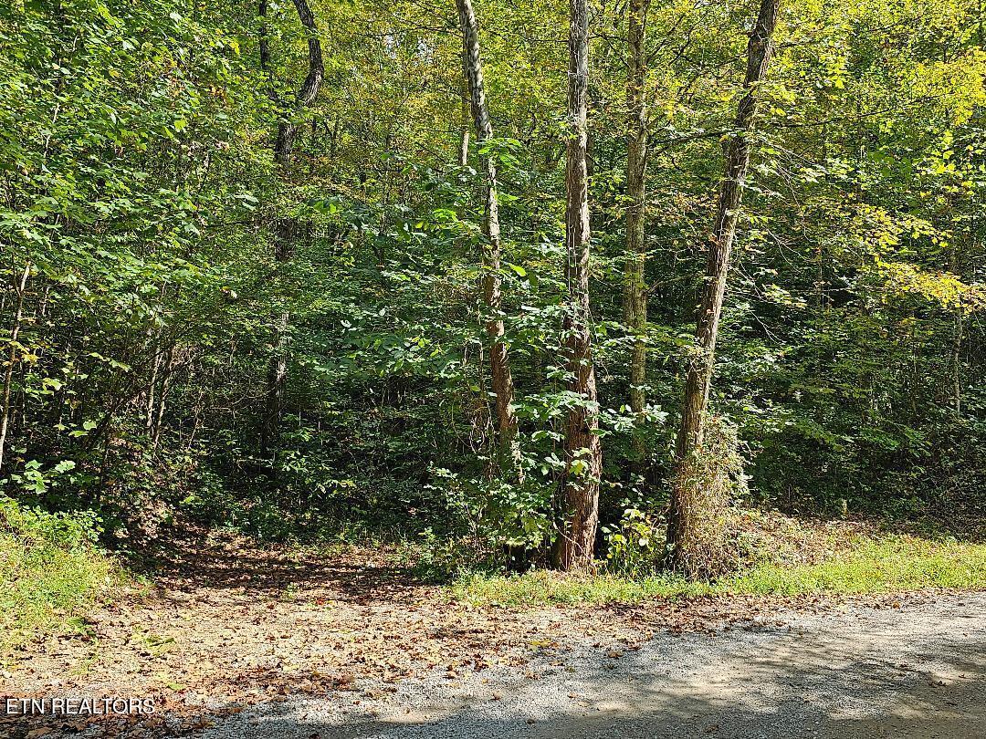 73.87AC Mill Hollow Road Tazewell TN 37879