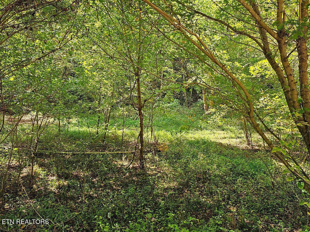 73.87AC Mill Hollow Road Tazewell TN 37879