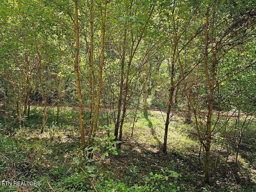 73.87AC Mill Hollow Road Tazewell TN 37879