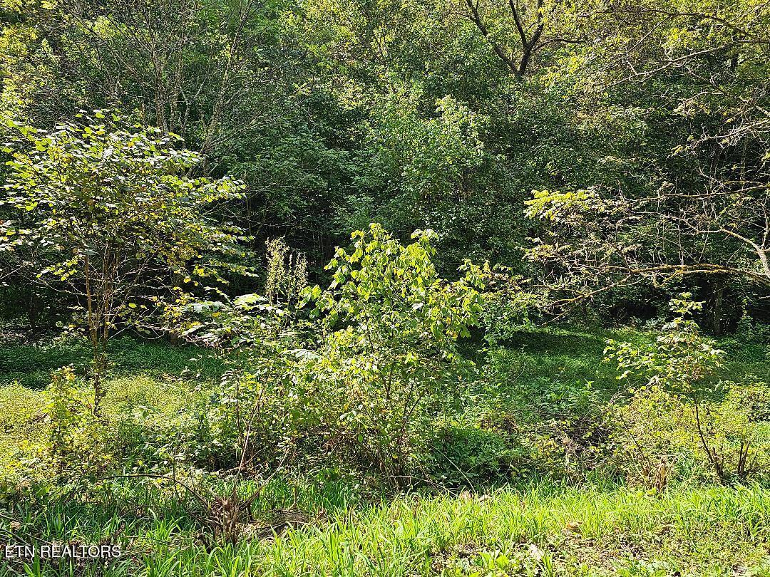 73.87AC Mill Hollow Road Tazewell TN 37879
