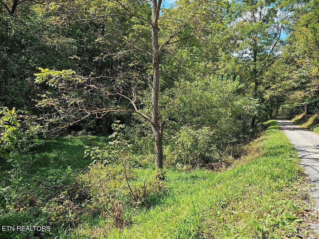 73.87AC Mill Hollow Road Tazewell TN 37879