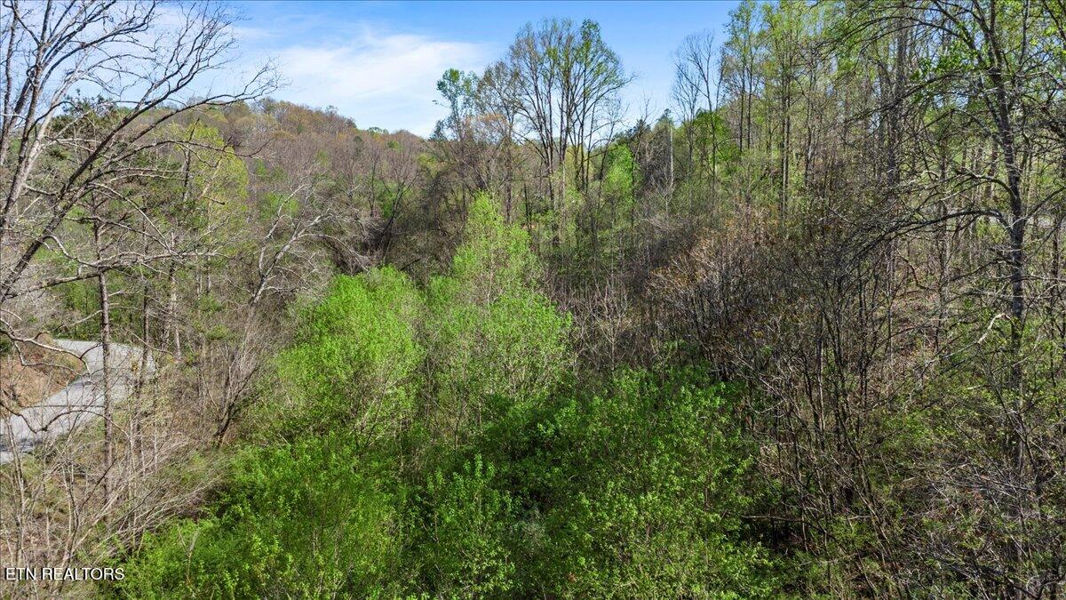 Rainbow View Road Lafollette TN 37766