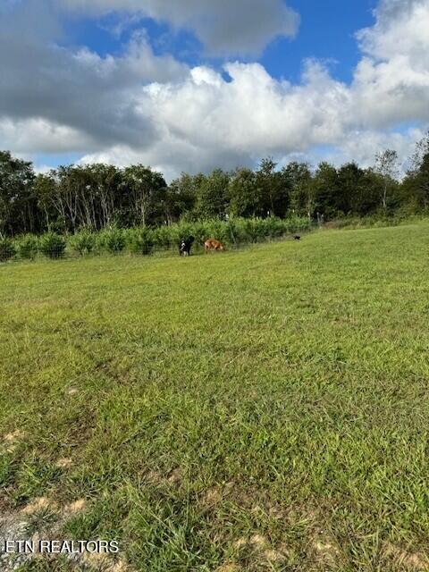 129 Rushing Springs Road Monterey TN 38574