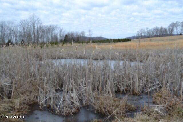 129 Rushing Springs Road Monterey TN 38574