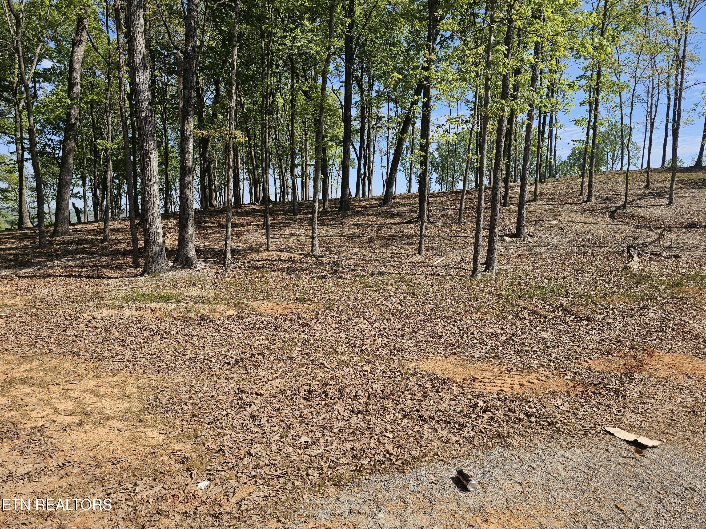 132 Eagles Crest Court Loudon TN 37774