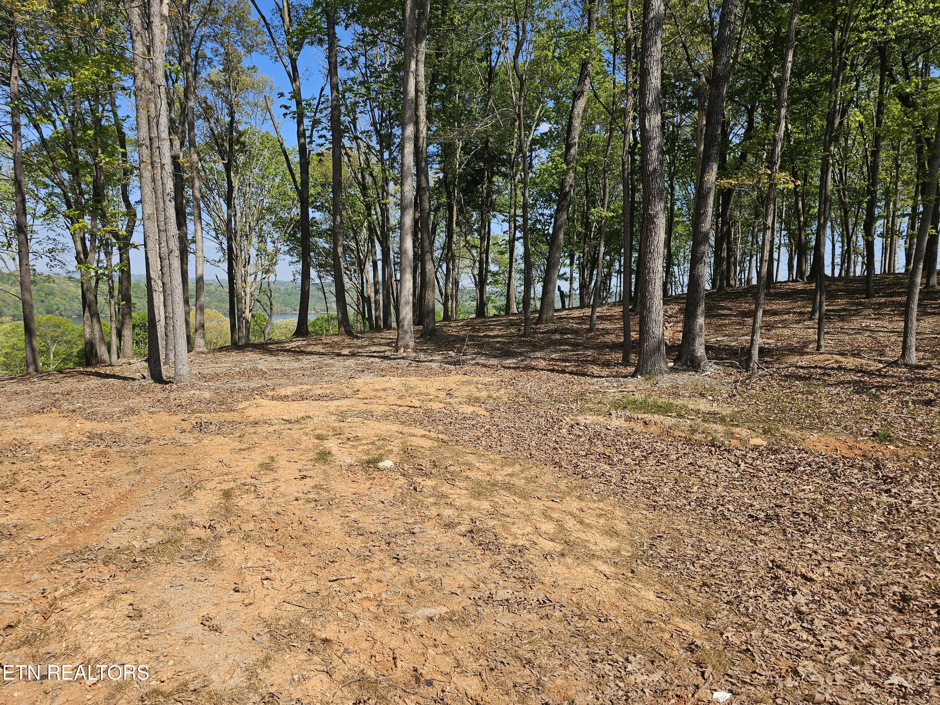132 Eagles Crest Court Loudon TN 37774