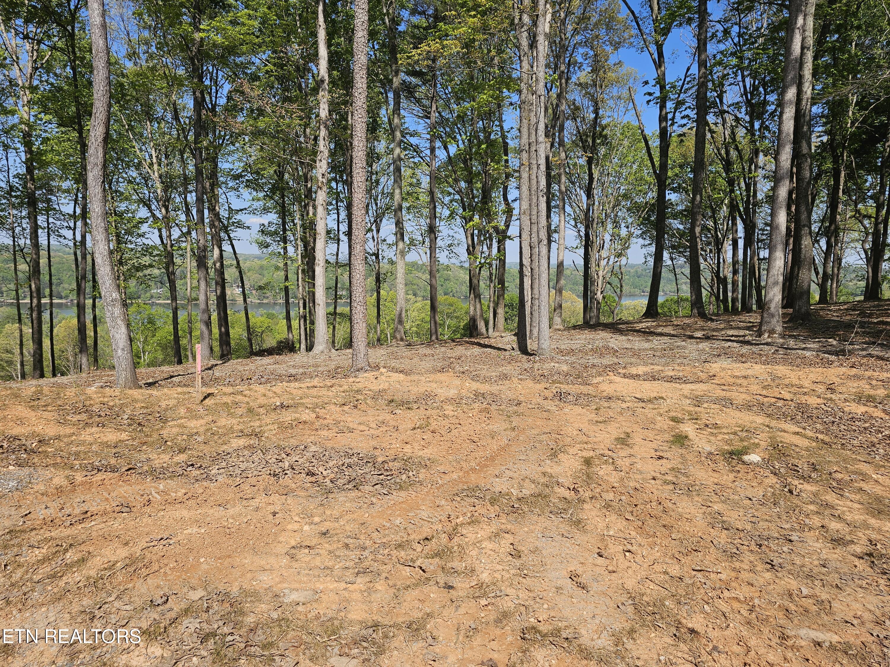 132 Eagles Crest Court Loudon TN 37774