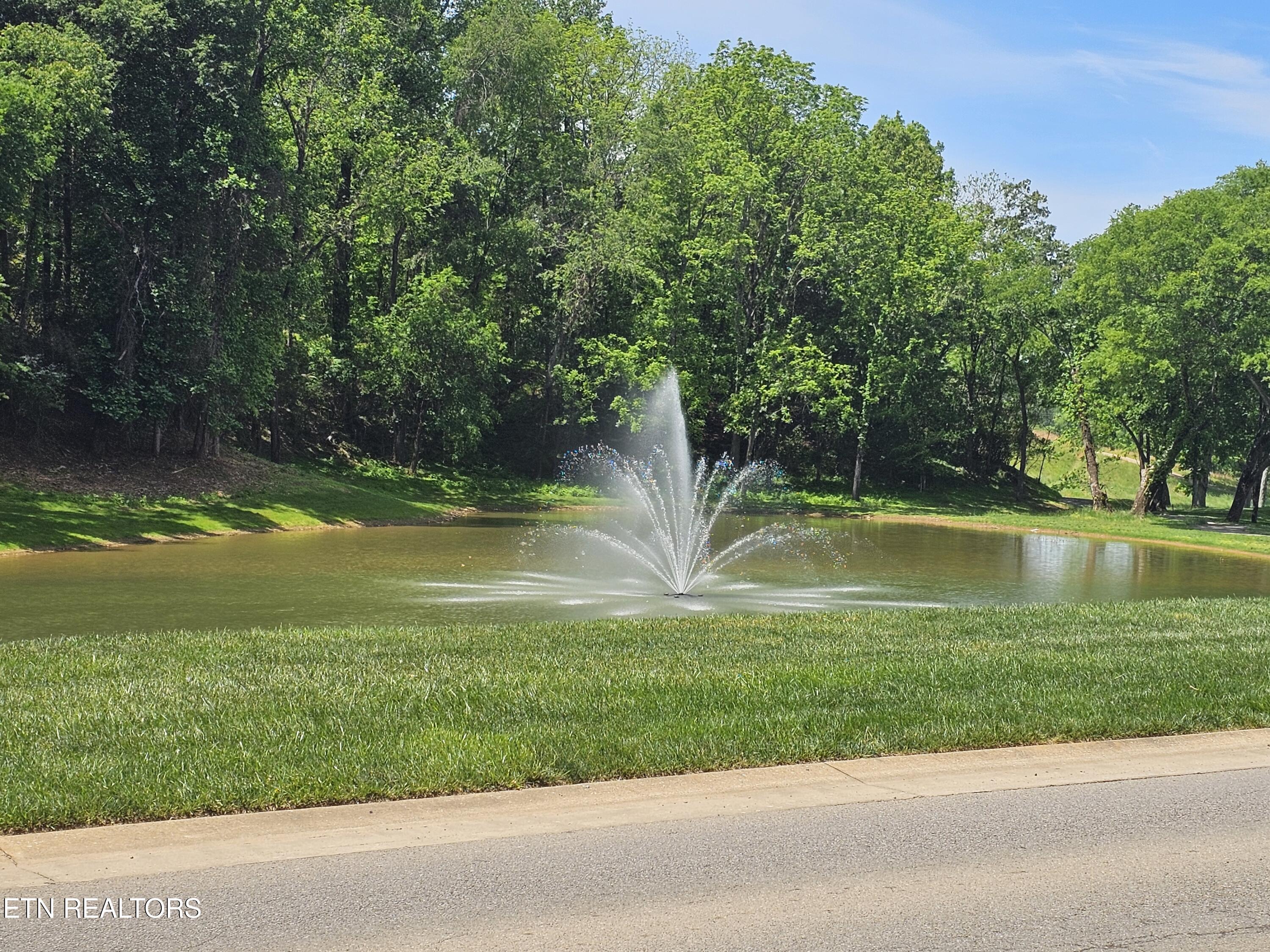 132 Eagles Crest Court Loudon TN 37774