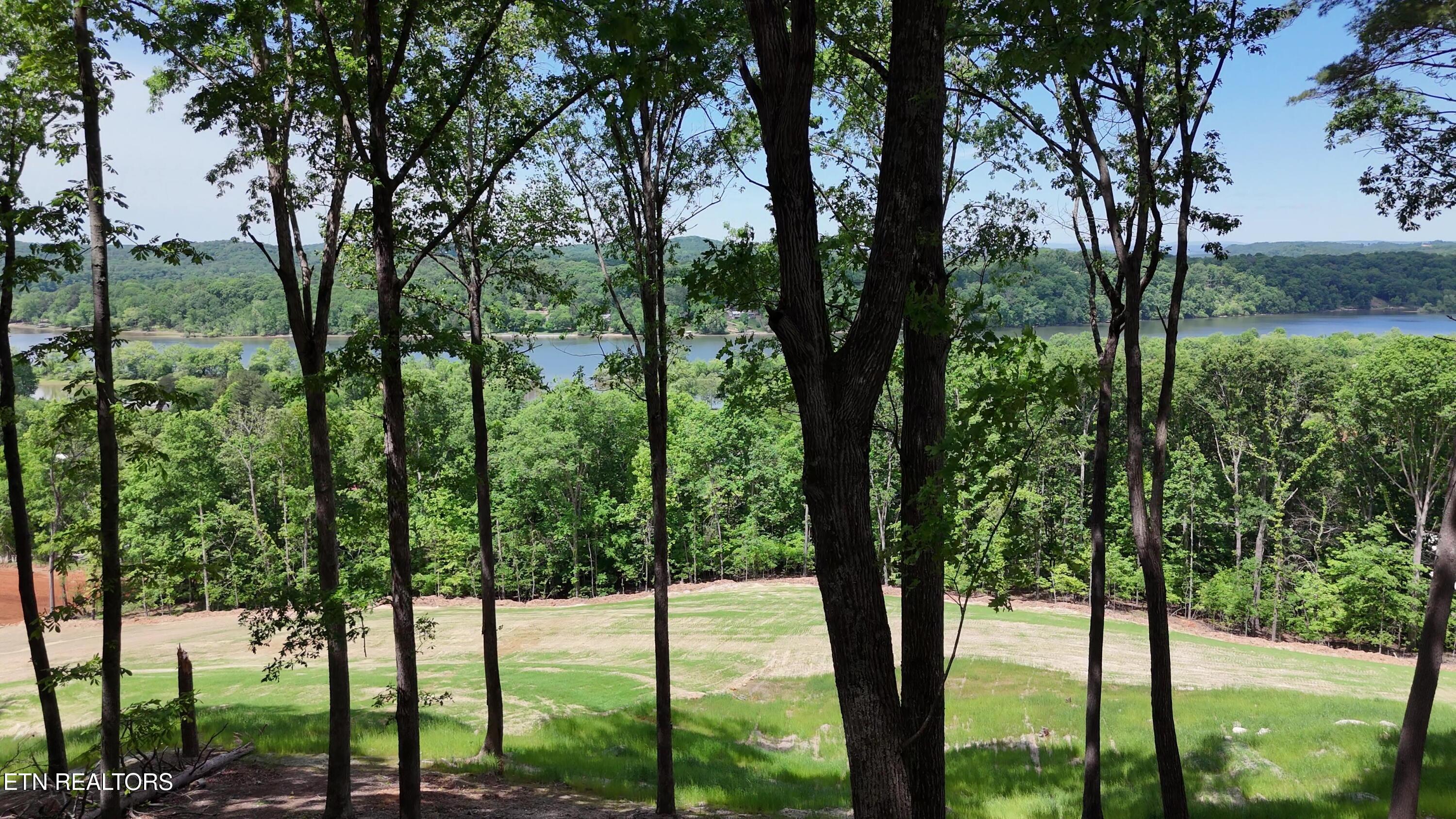 132 Eagles Crest Court Loudon TN 37774