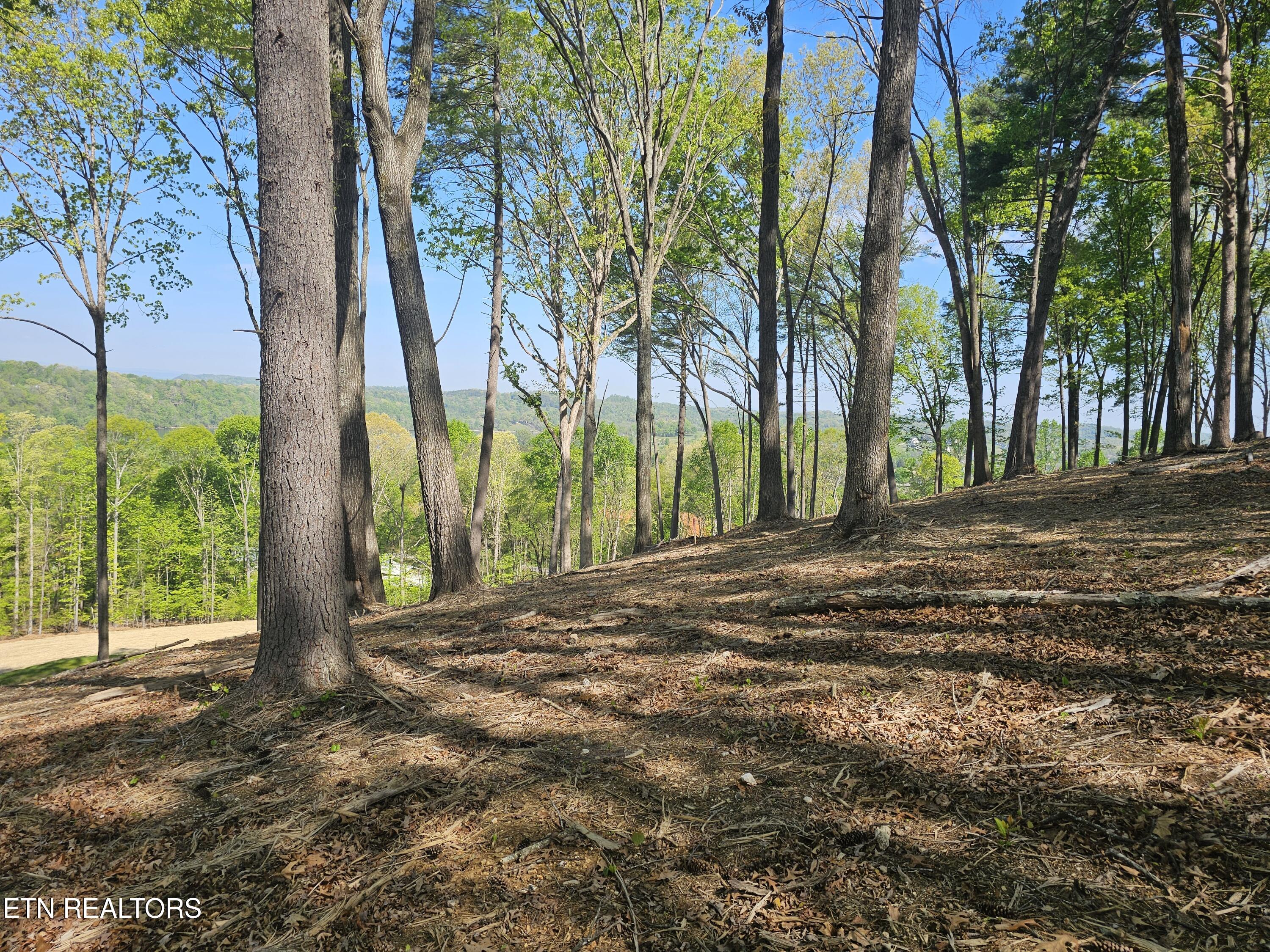 132 Eagles Crest Court Loudon TN 37774