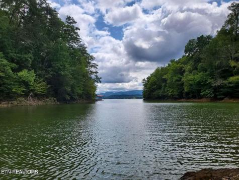 Fortunato Drive Baneberry TN 37890