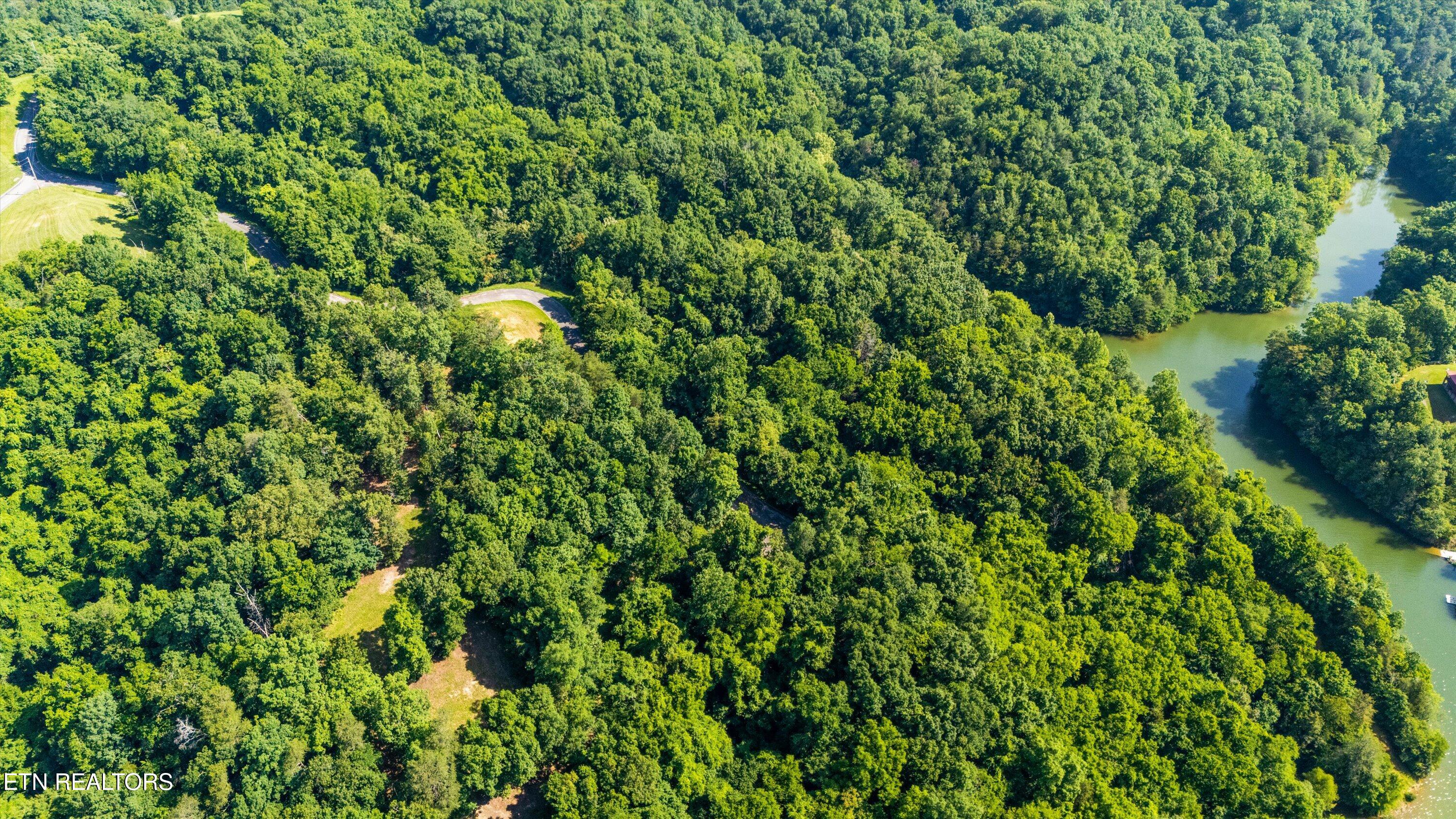 Fortunato Drive Baneberry TN 37890