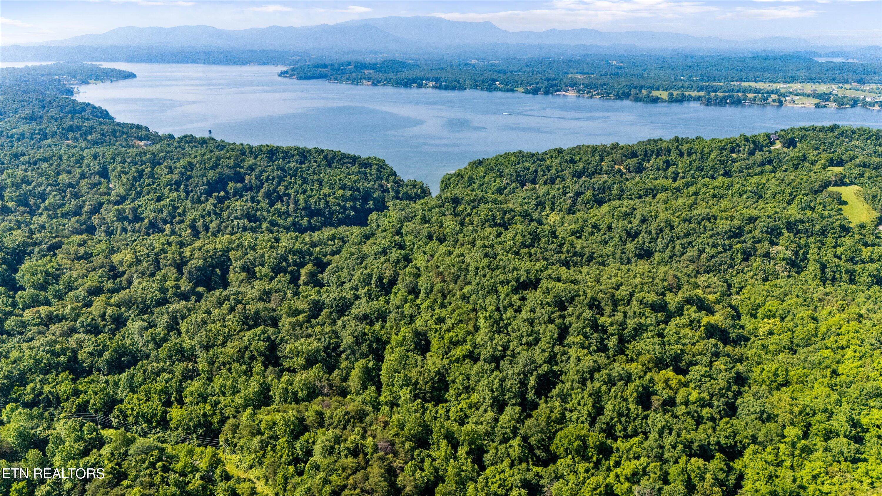 Fortunato Drive Baneberry TN 37890