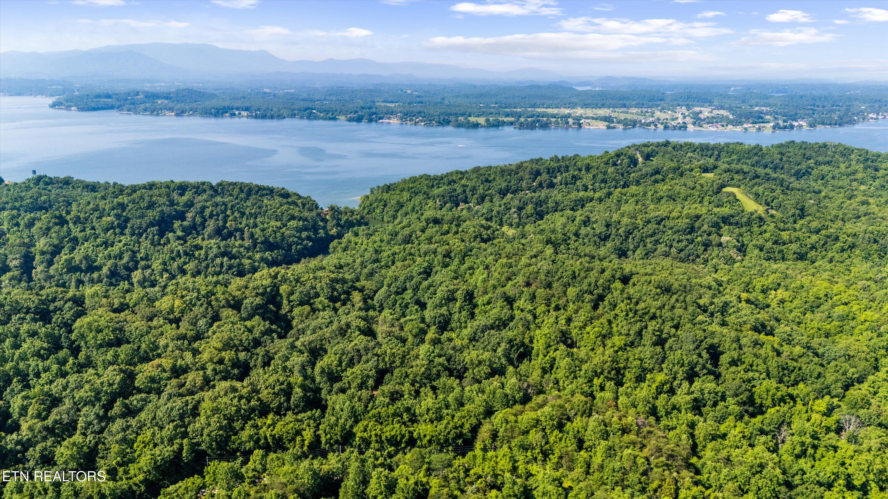Fortunato Drive Baneberry TN 37890