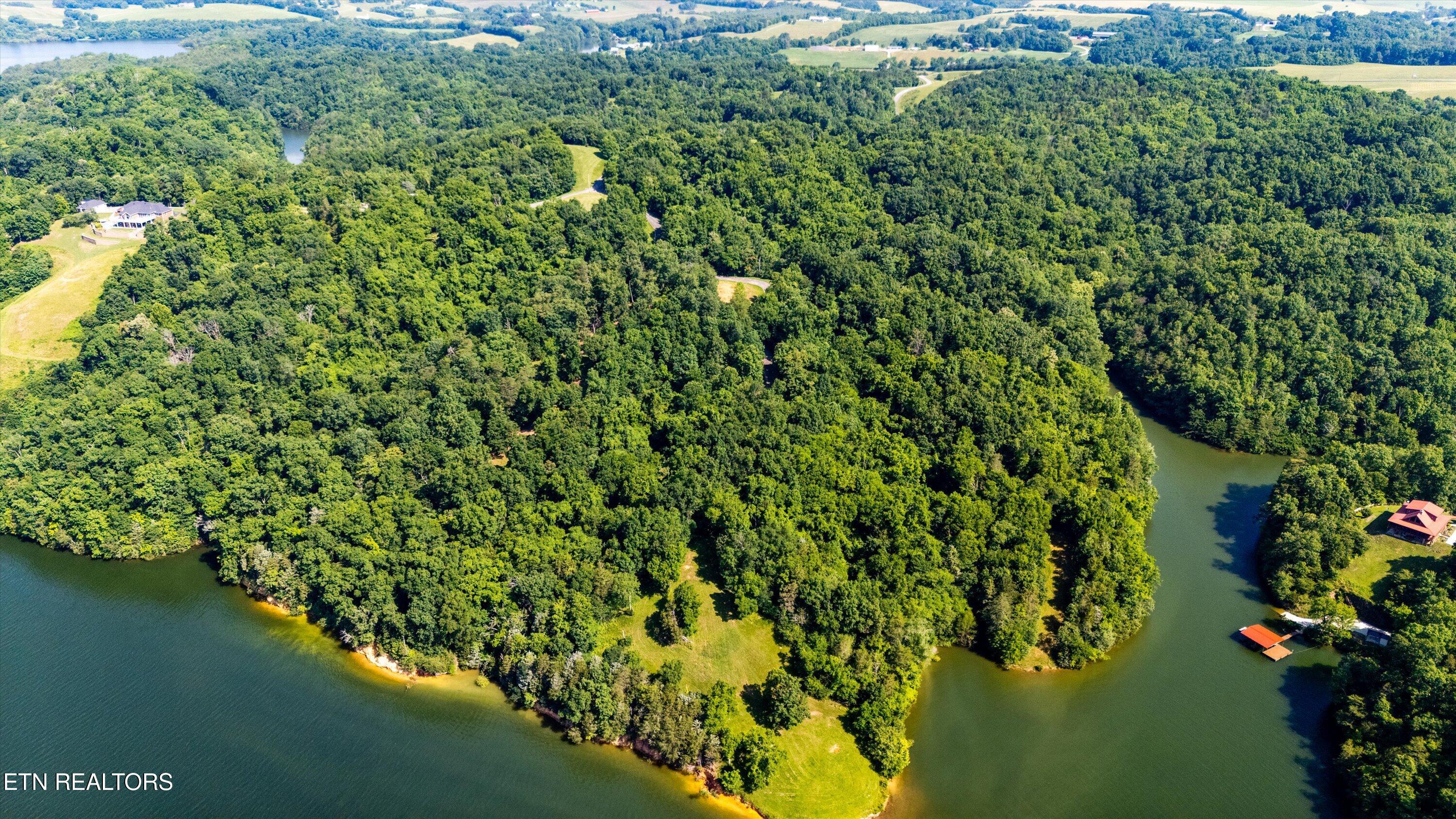 Fortunato Drive Baneberry TN 37890