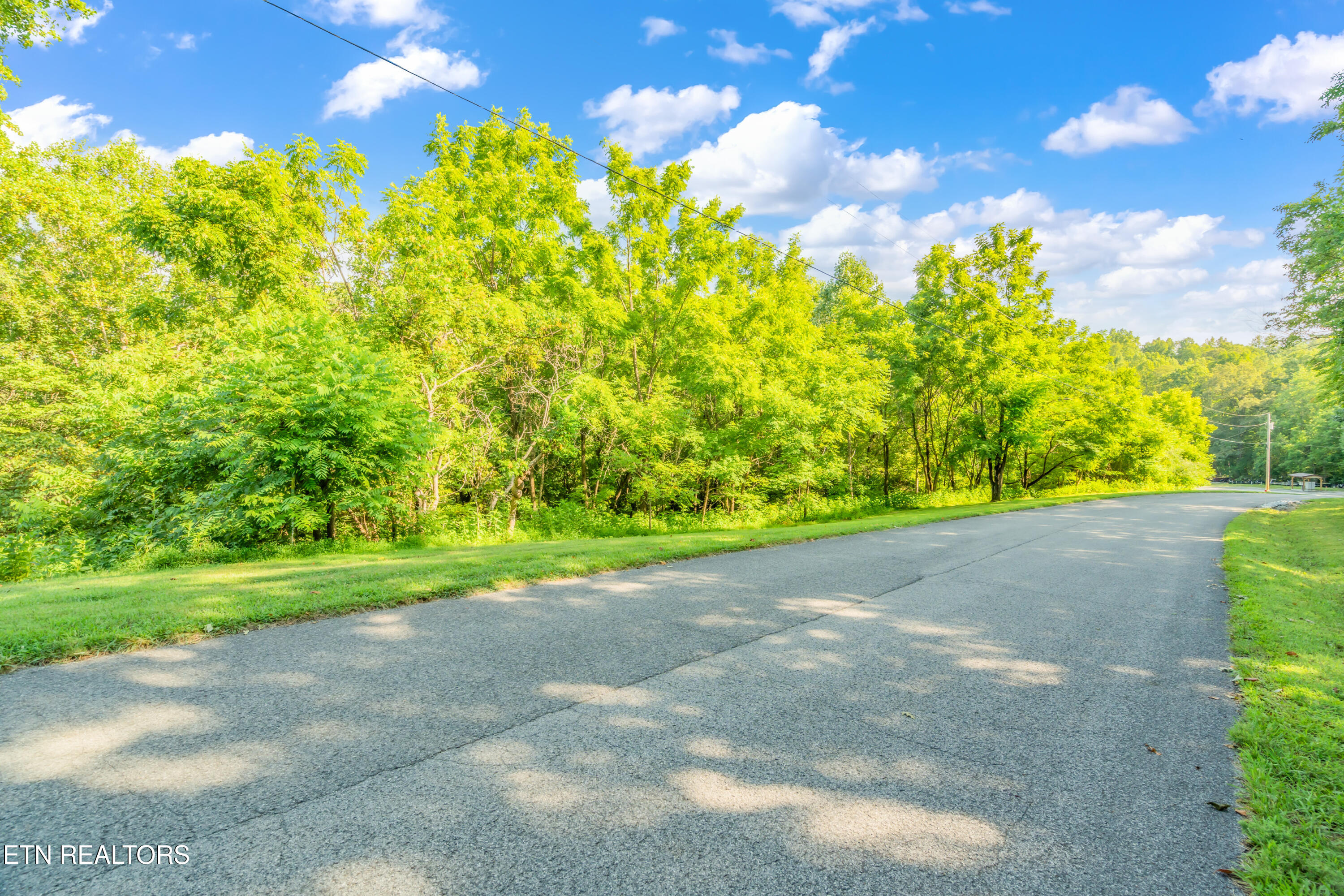 Shanghai Landing Lane Lafollette TN 37766