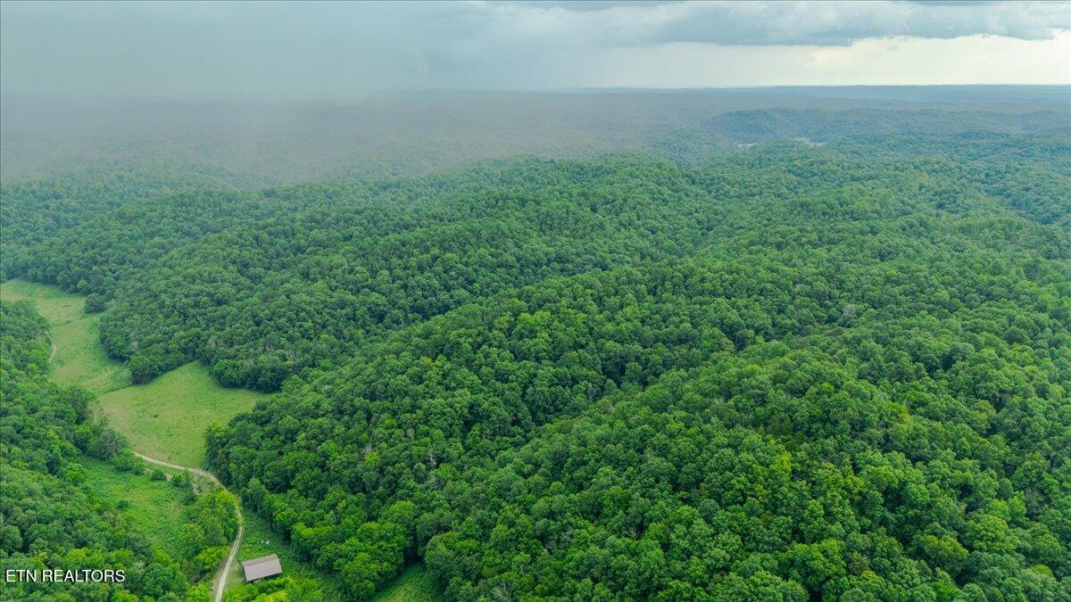Knob Creek Road Celina TN 38551