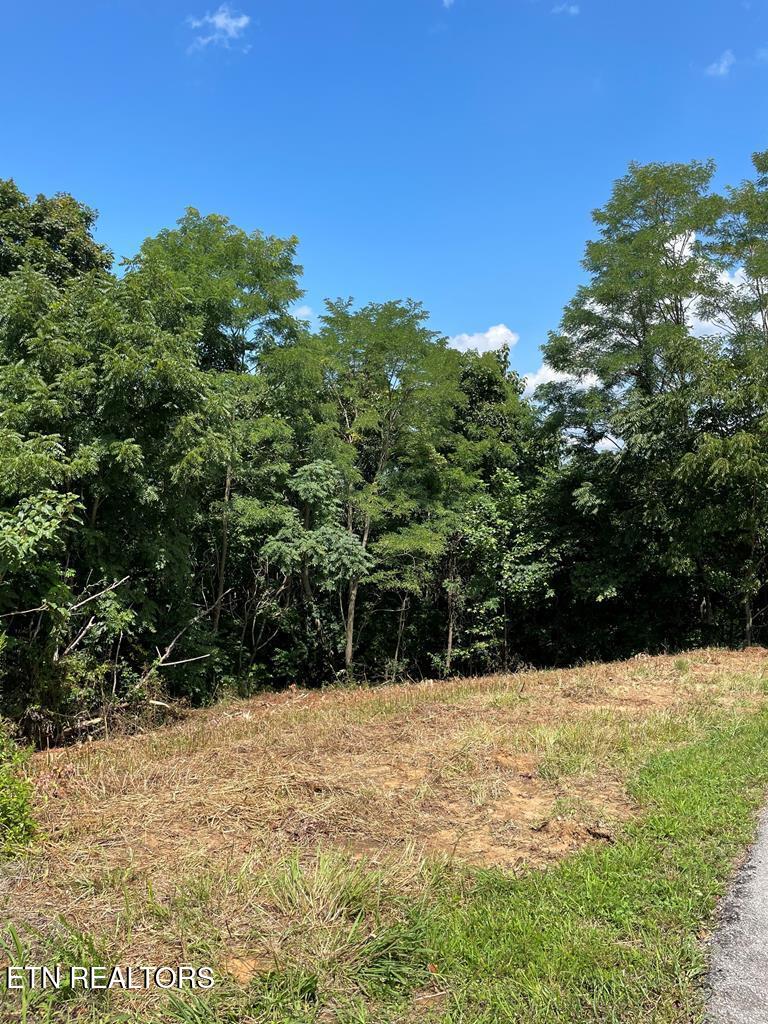 Lot 57a Goose Road Hilham TN 38568