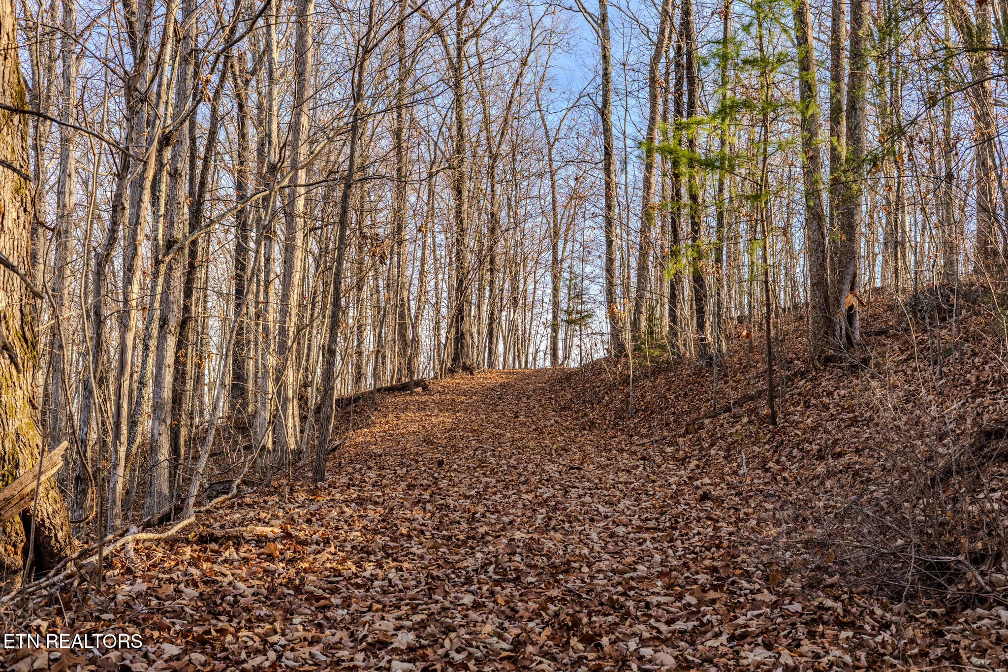 Lot 3 Stonehinge, Unicoi Church Road Tellico Plains TN 37385