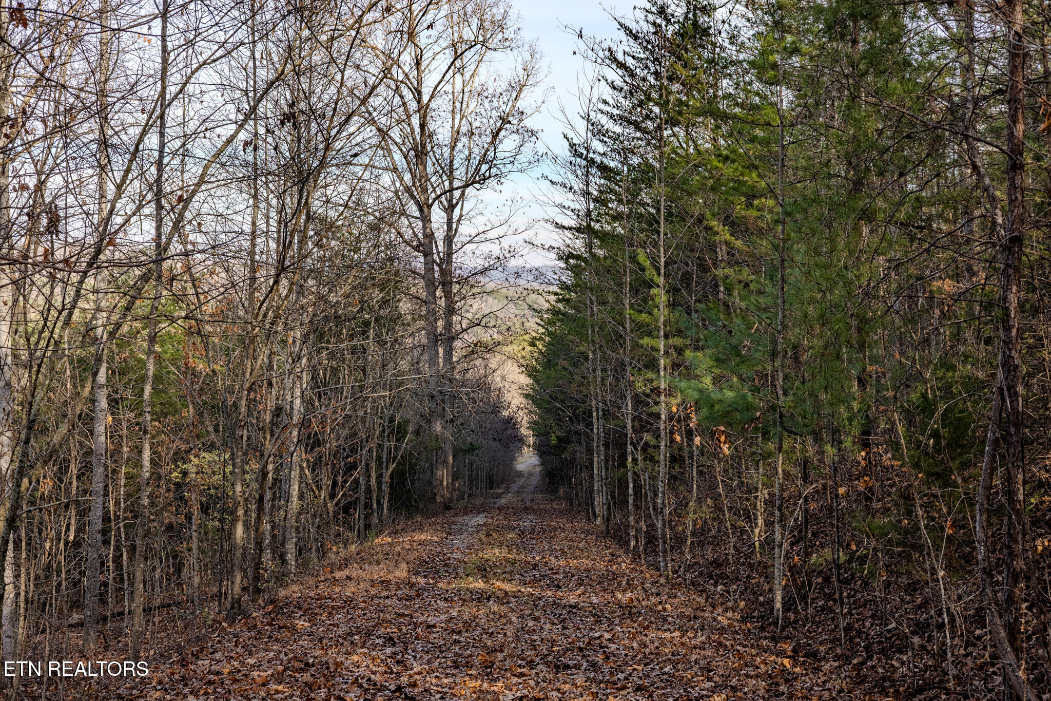 Lot 3 Stonehinge, Unicoi Church Road Tellico Plains TN 37385