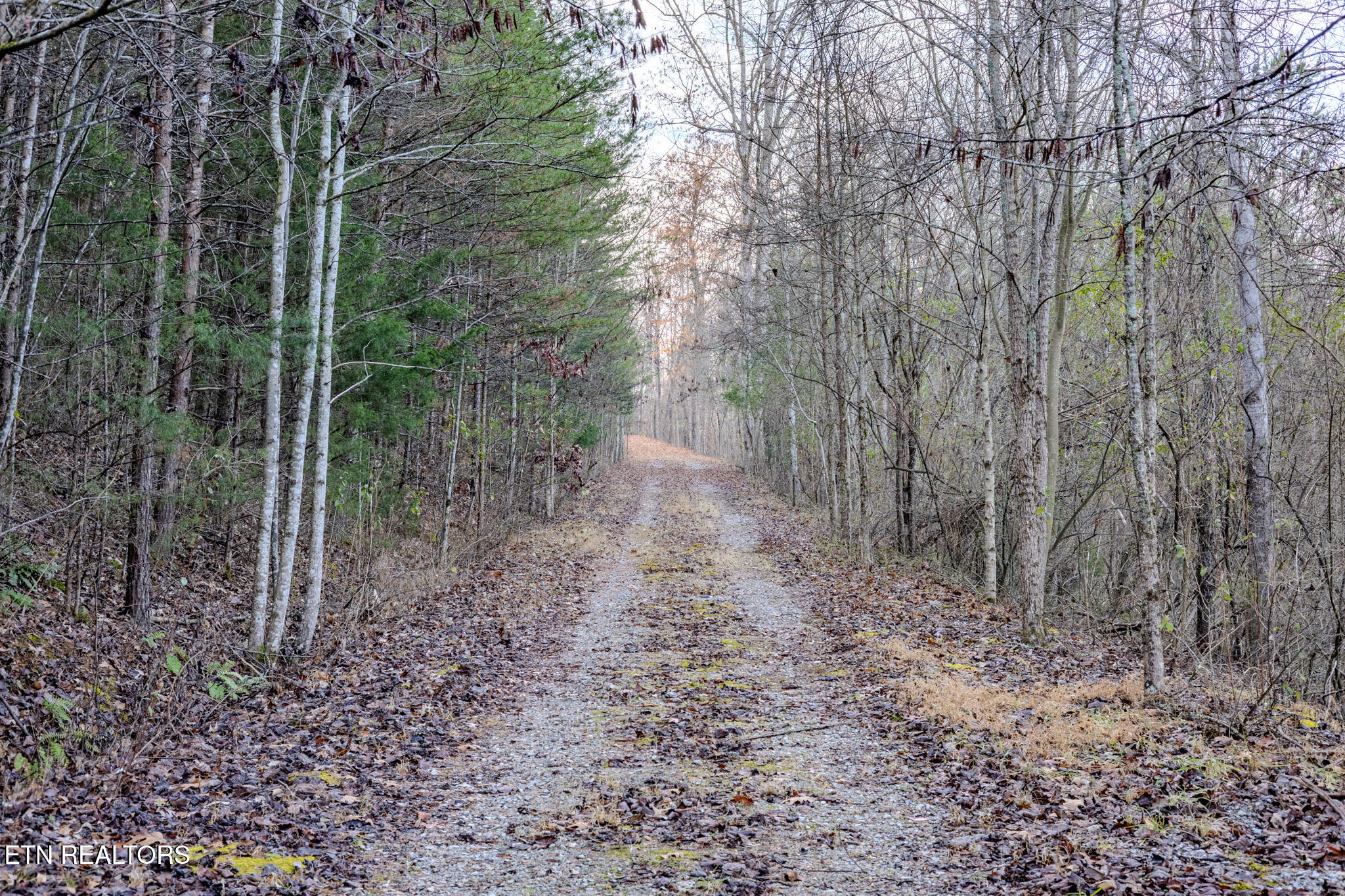 Lot 3 Stonehinge, Unicoi Church Road Tellico Plains TN 37385