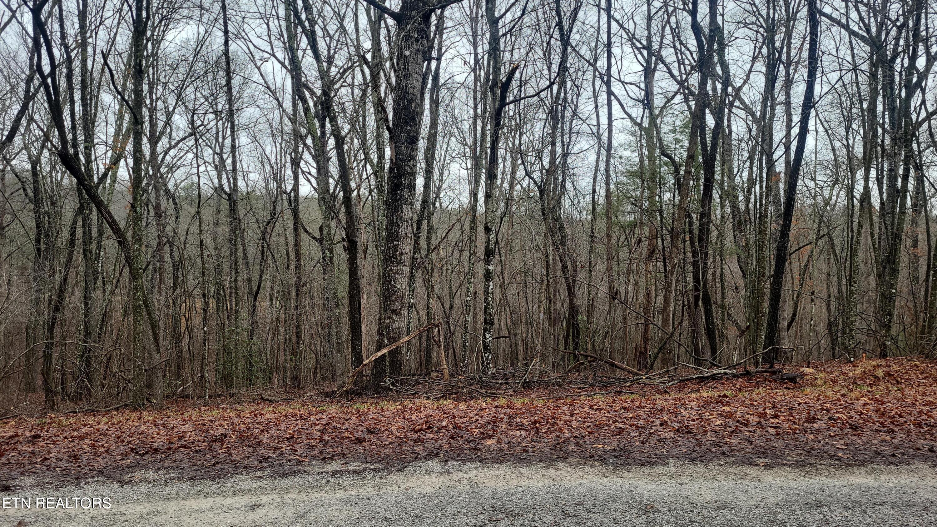 21 Ashford Place Crossville TN 38558