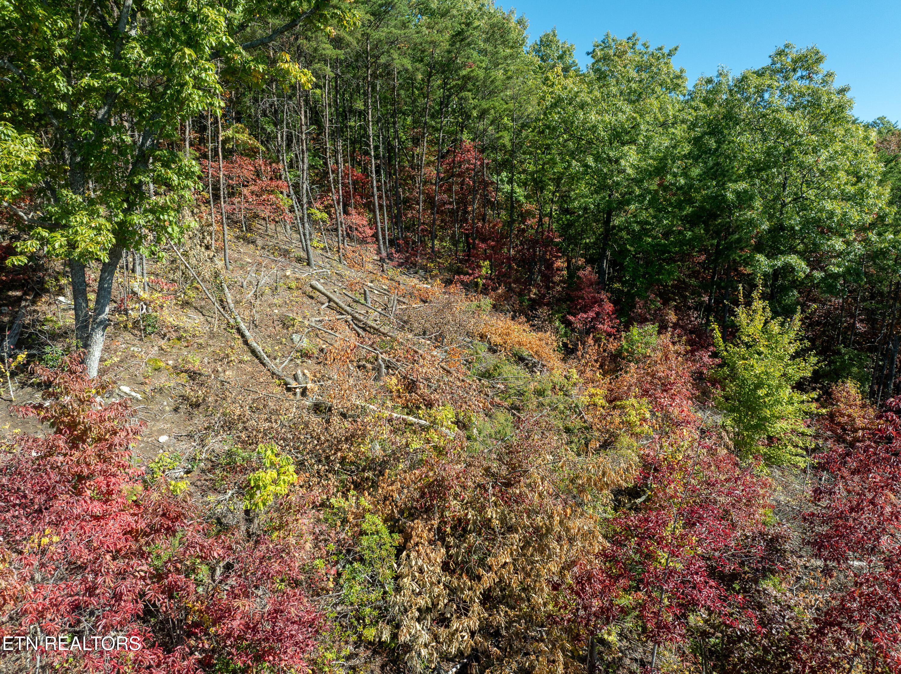 Lot #32 Chilhowee Trail Maryville TN 37803