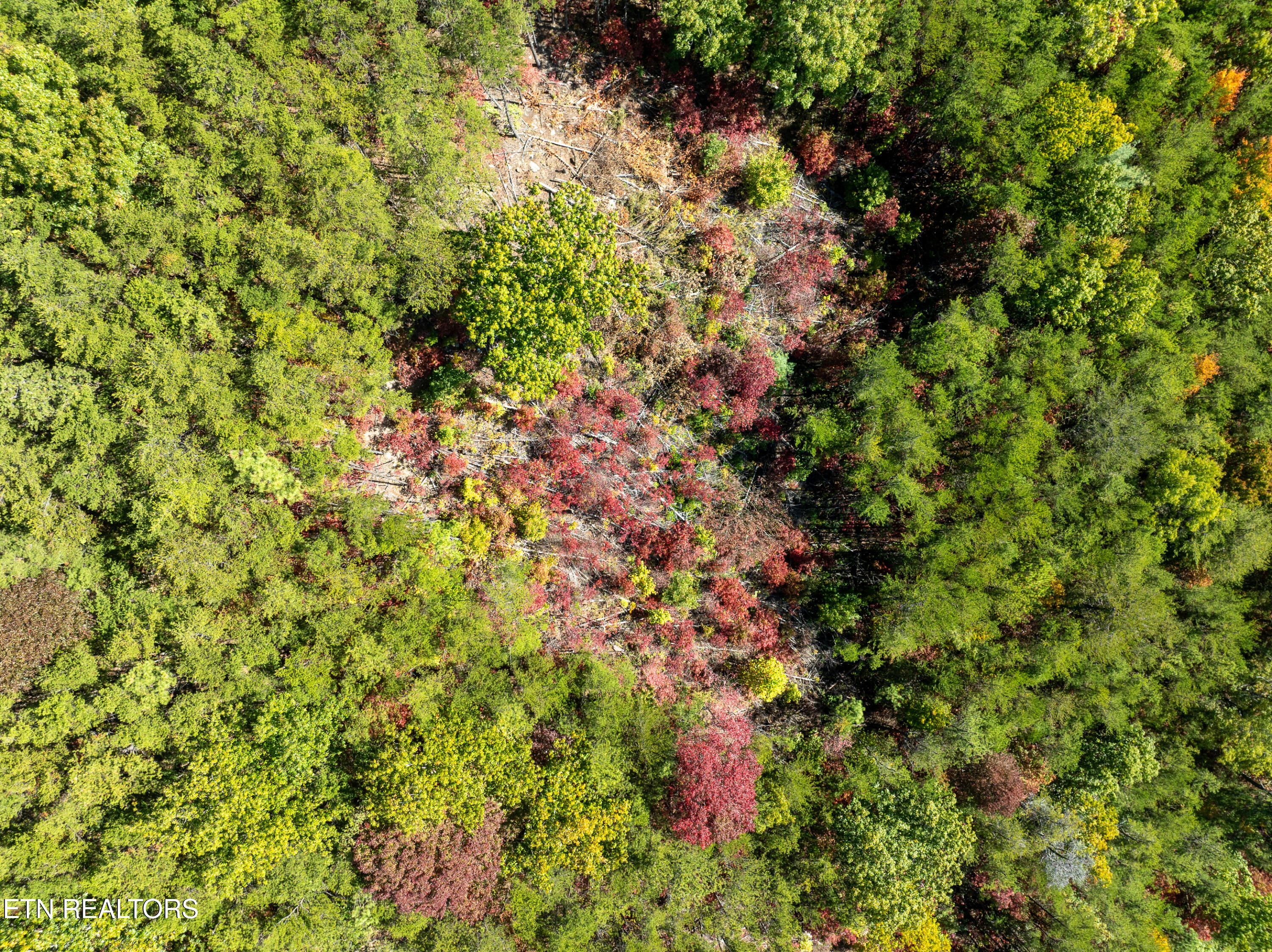 Lot #32 Chilhowee Trail Maryville TN 37803