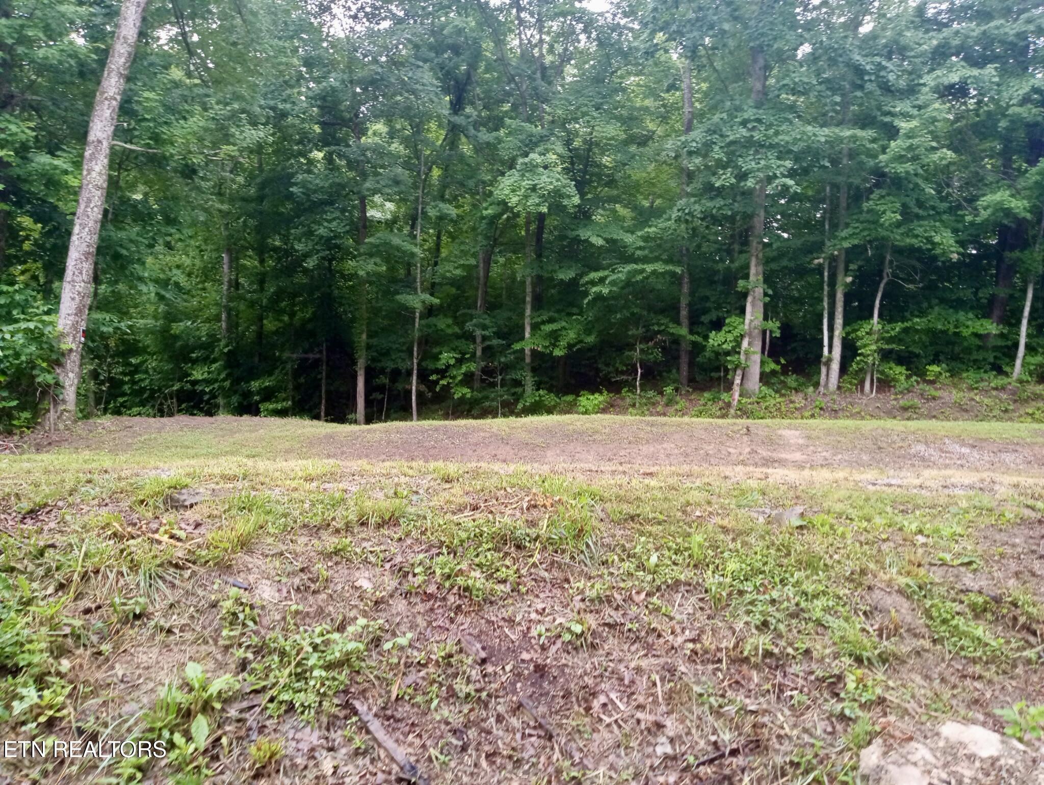 Roe Winfield TN 37892