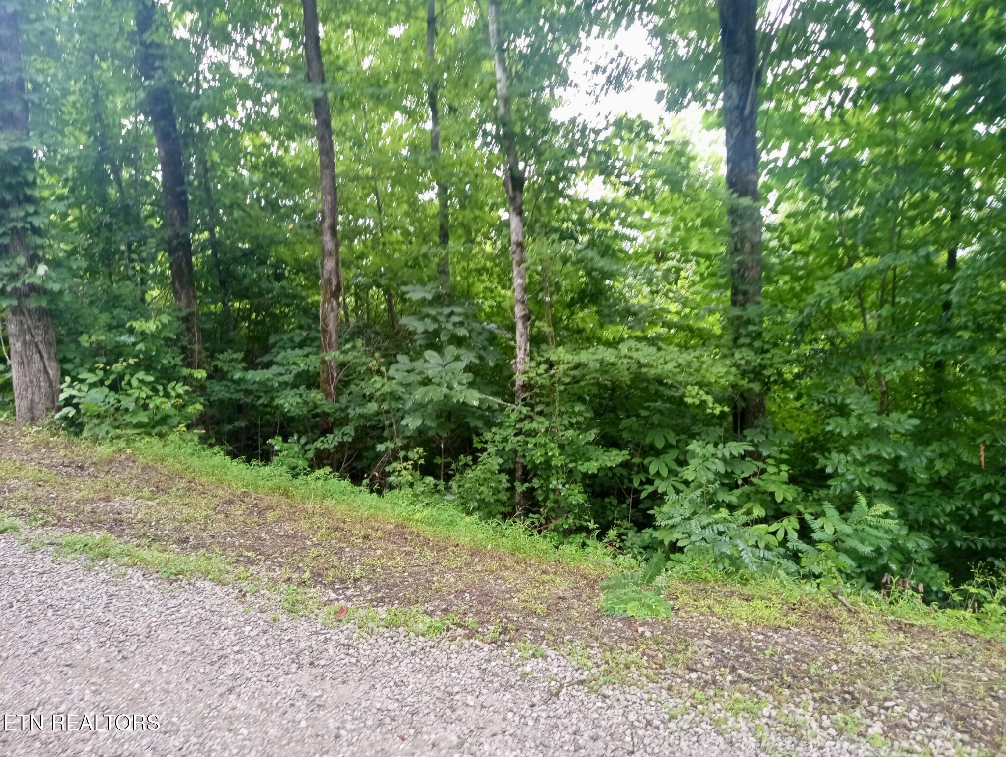 Roe Winfield TN 37892