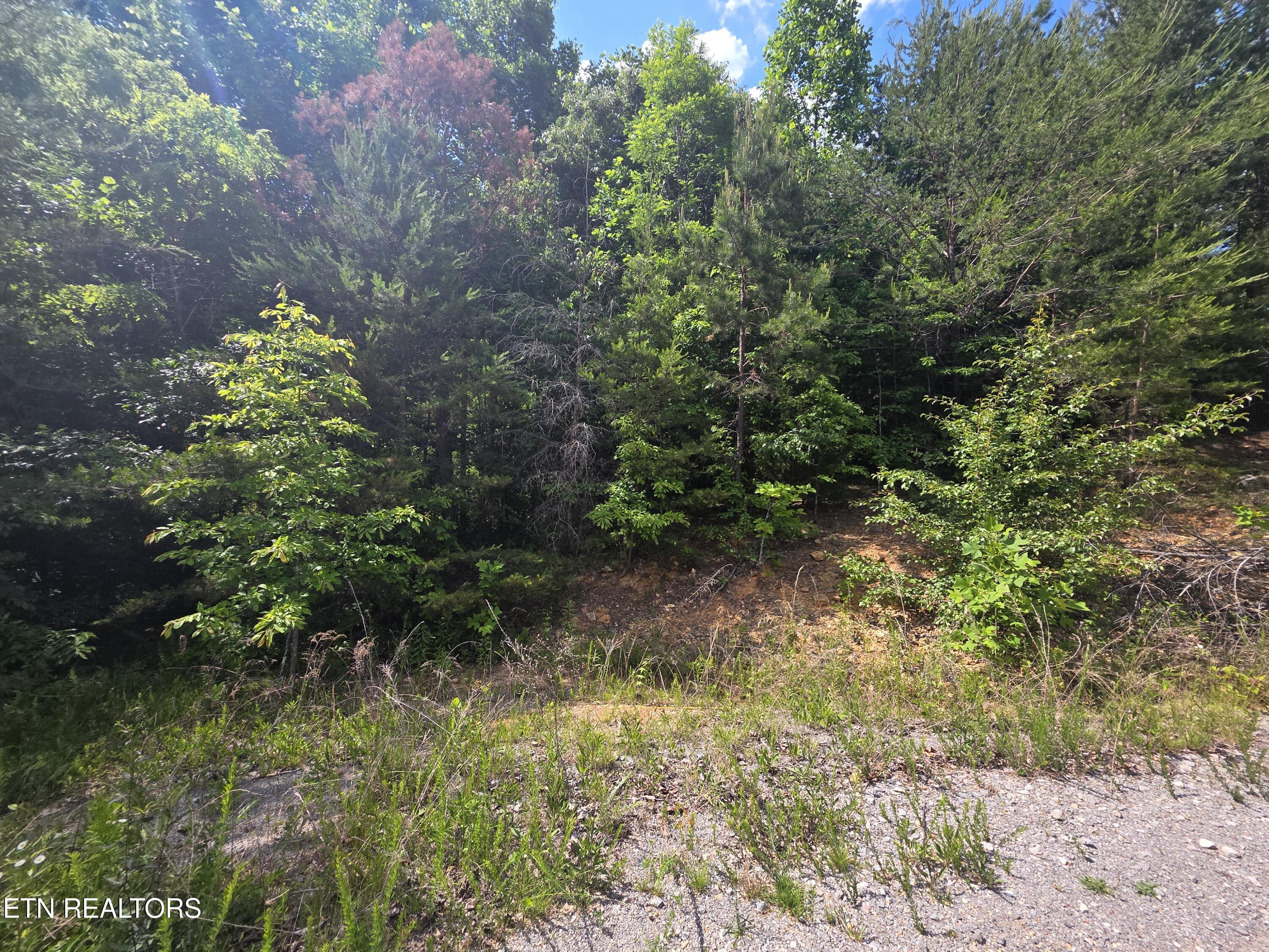 Ashley Maynardville TN 37807